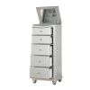 ACME Maverick Lingerie Chest, Platinum 21807
